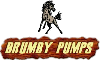 Brumby Pumps Logo.gif