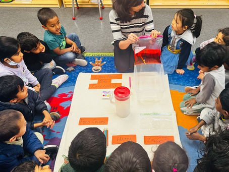 Why Daycare Is Every Parent’s Best Partner in Child Development