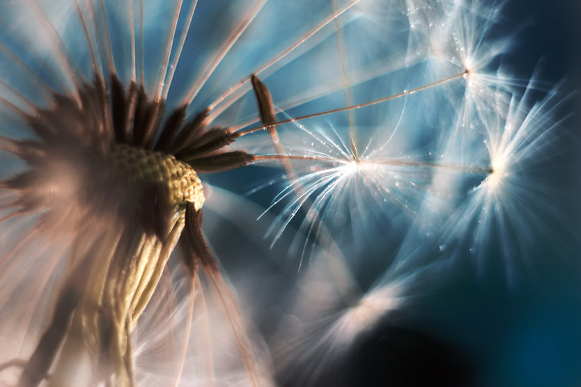 AdobeStock_296276604_©_Anna.jpeg