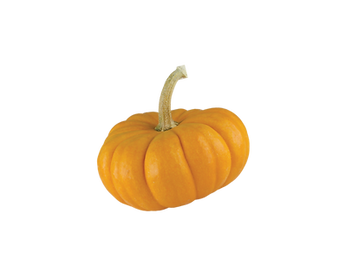 yellow ingredients-64.png