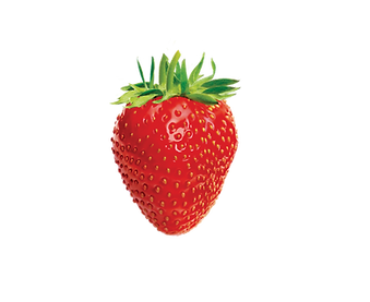 pink ingredients-64.png