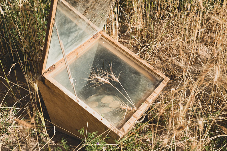 horno solar bucelatum.jpg