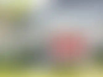 Modern London apartment with bright natural light and staged living room, representing fast and professional UK property sales by Luxe Living International