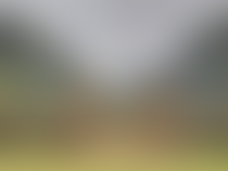 Global luxury property investment trends, high net worth individual migration, and prime residential real estate hotspots in 2025.