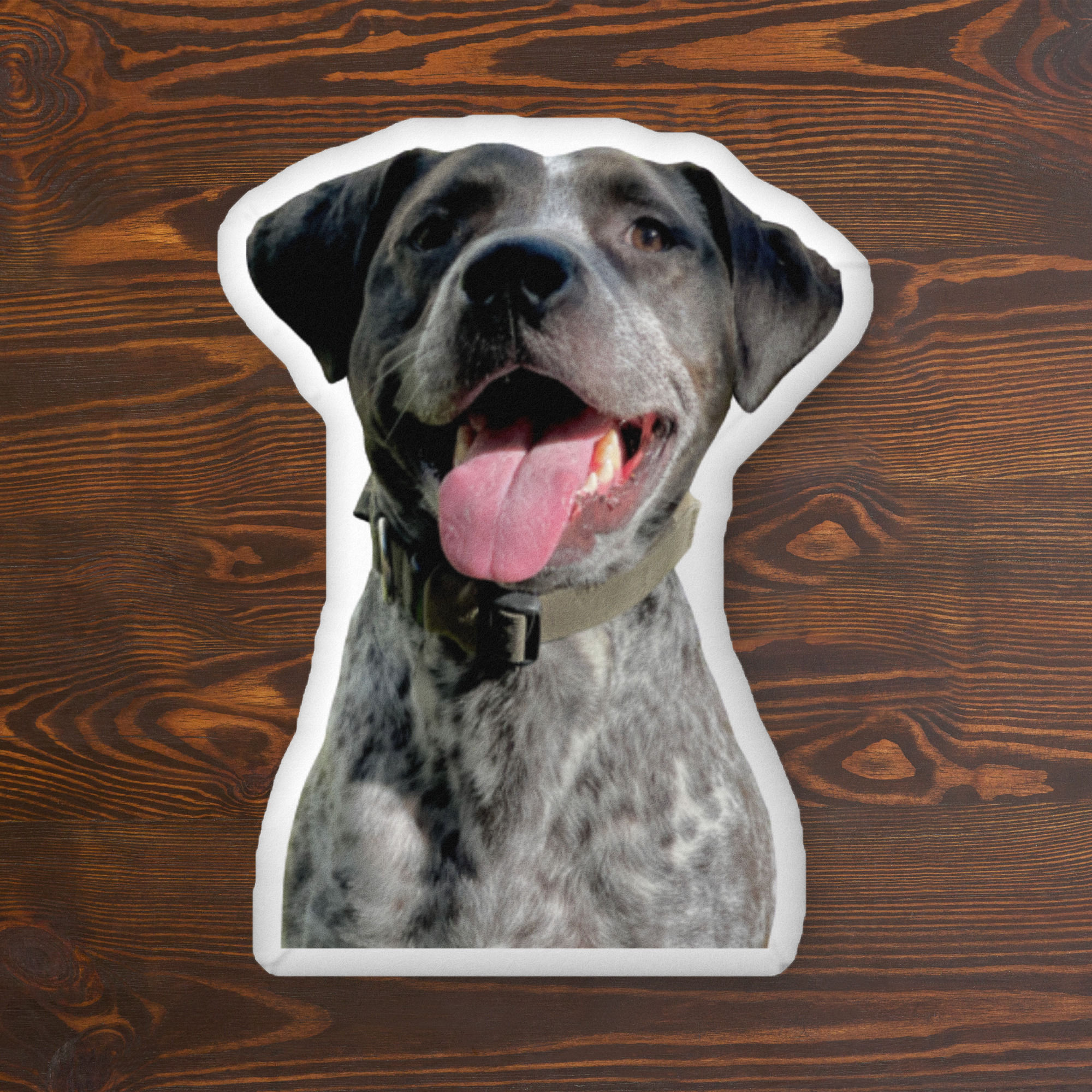 Custom-shaped pillow