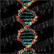 Music from the Genome