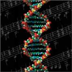 Music from the Genome
