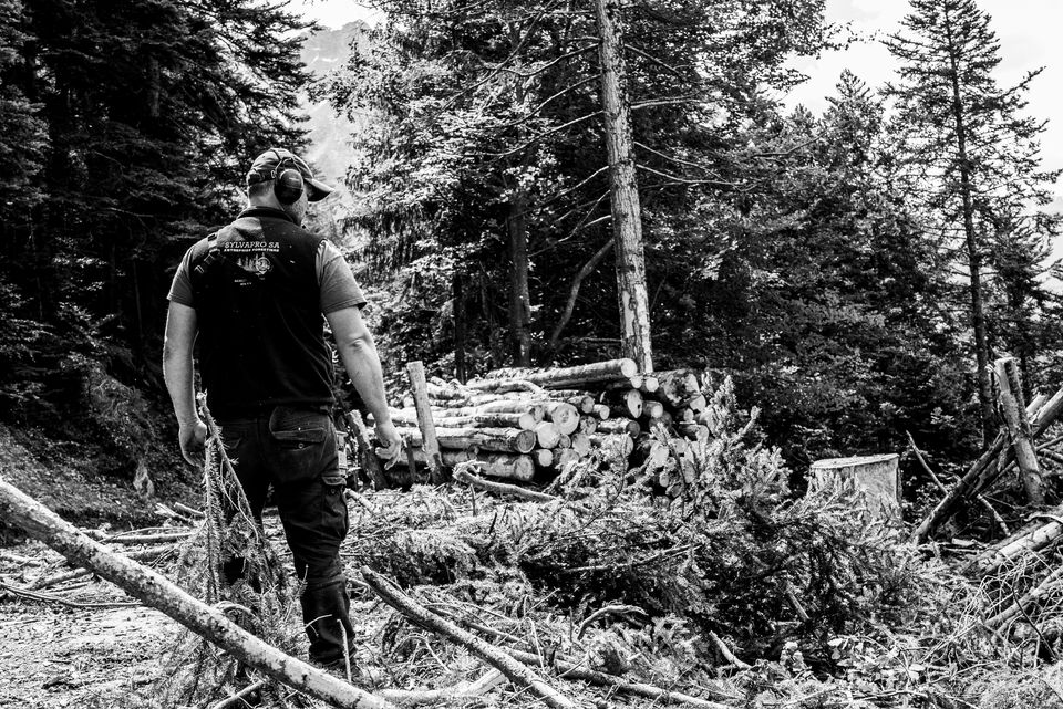 Forestier-bûcheron