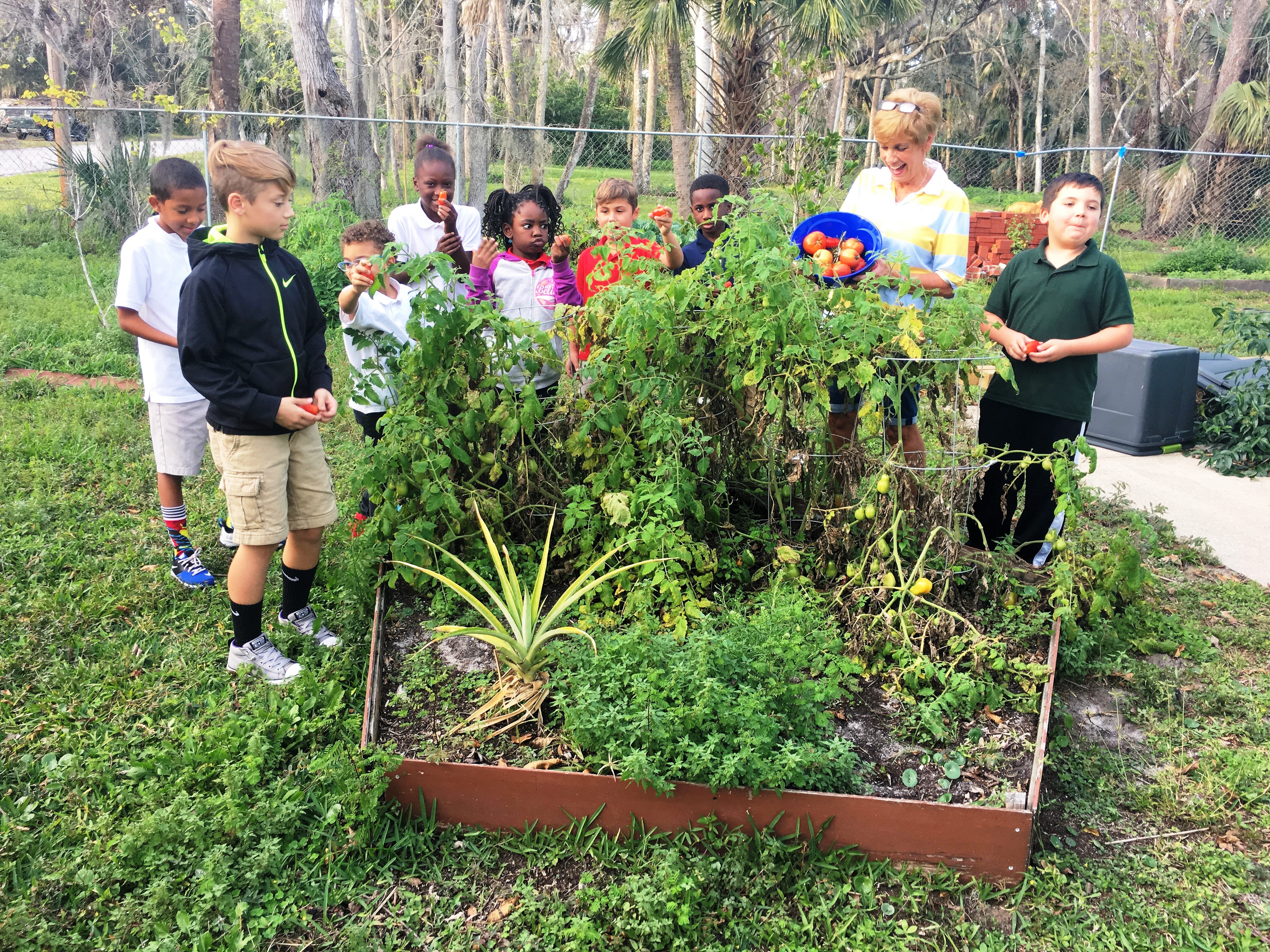 01-17-17 Jane and Boys and Girls picking tomatos