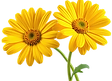 1_edited.png