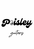 paisley guitars.png
