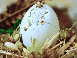 Reclaiming Rot and the Art of Waste