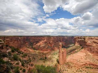 Through food: learning the importance of preserving the land