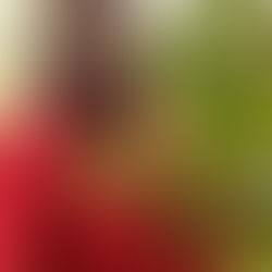 Interview: Nia Raquelle Smith