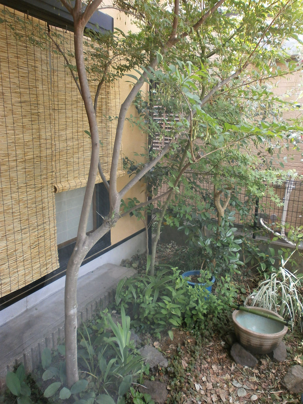 知命の茶事