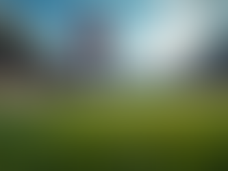 Must-Watch Sports Highlights for Ultimate Fans