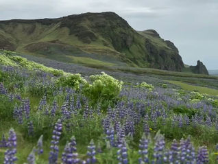 From Glaciers to Gourmet: Our Romantic Iceland Escape