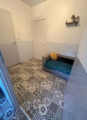 STUDIO DES CHIENS .HEIC