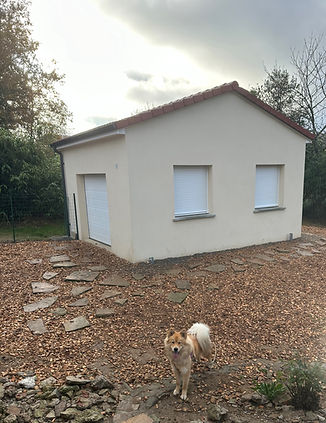 maison des chiens _edited.jpg
