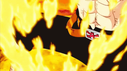 ace-one-piece.gif
