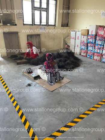Dedicated Processing Area: Purity & Quality Control