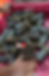 STALLONE INDIAN NATURAL BOAR | PIG | HOG BRISTLE (WITH FLAGGED TOPS)