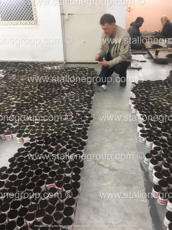 On-Site Bristle Inspection by German Brush Manufacturer