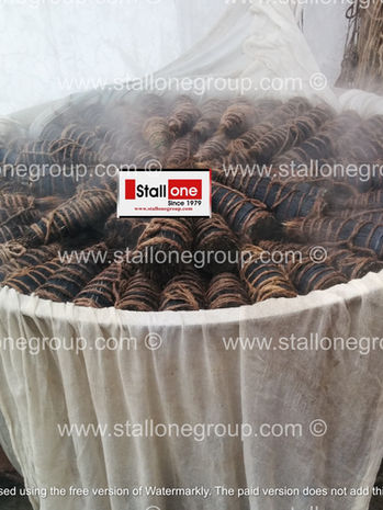 Purification Process: Bristle Boiling & Sterilization