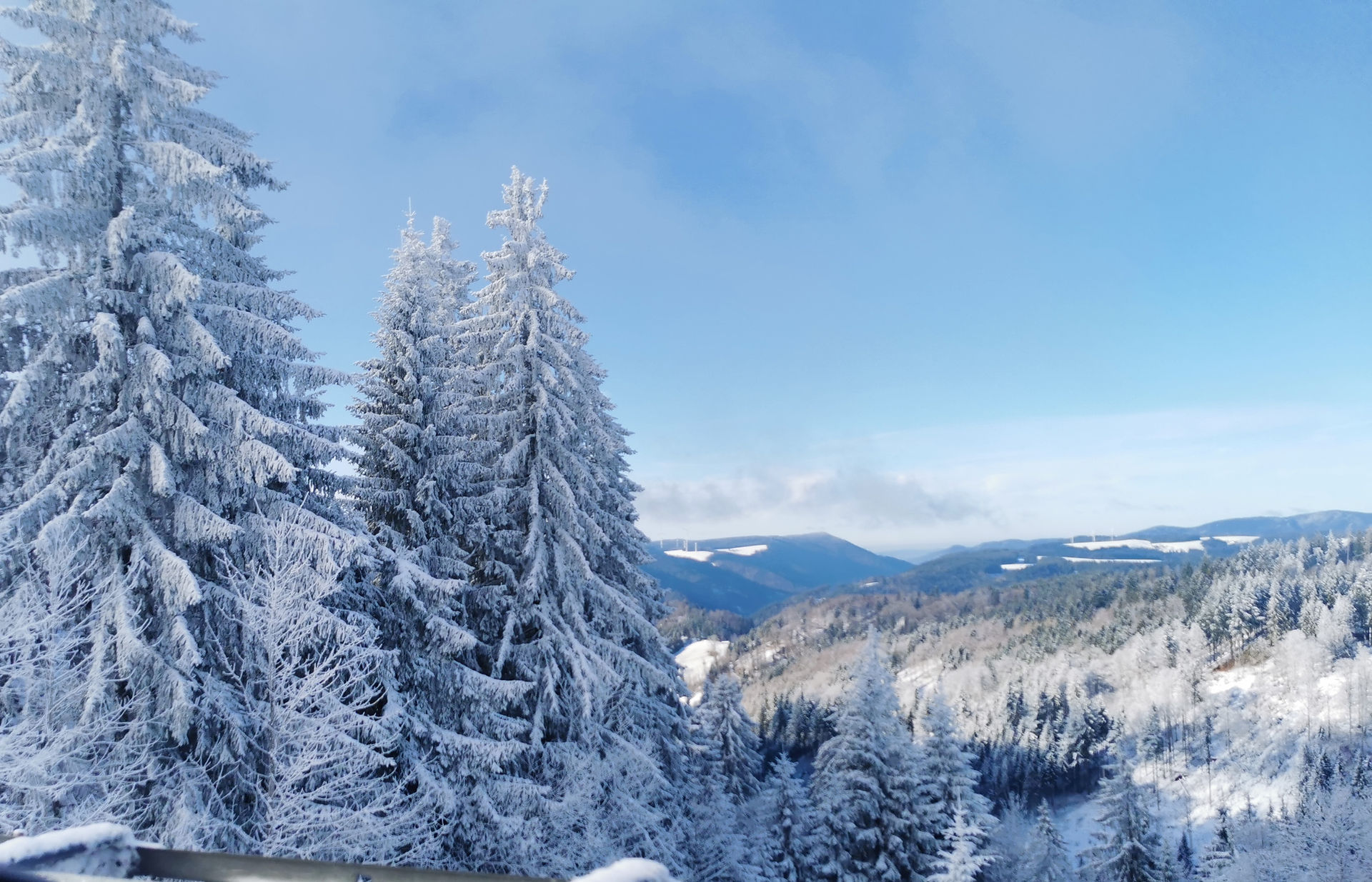 Aussicht beim Spaziergang im Schnee