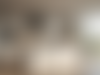 Leaders in Project Innovation for Renovation Success