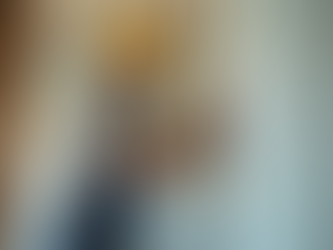 Extensive Experience in Construction and Renovation Projects