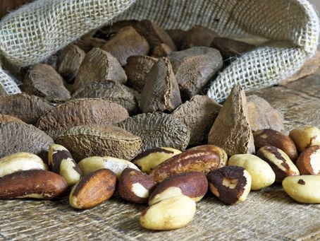 A Castanha-do-Pará.