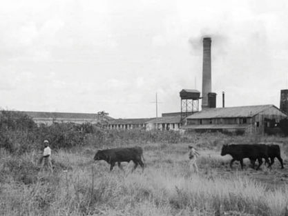 As vacarias em Belém.