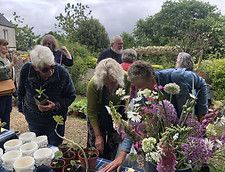 plant swap 9 25.jpg