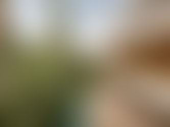 FR House:聖保羅的自然都會綠洲