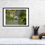 Thumbnail: Buscot Weir - View from above (A3 Framed)