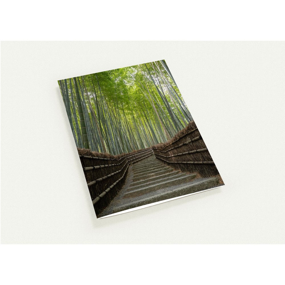 The Bamboo Forrest walk, Kyoto, Japan