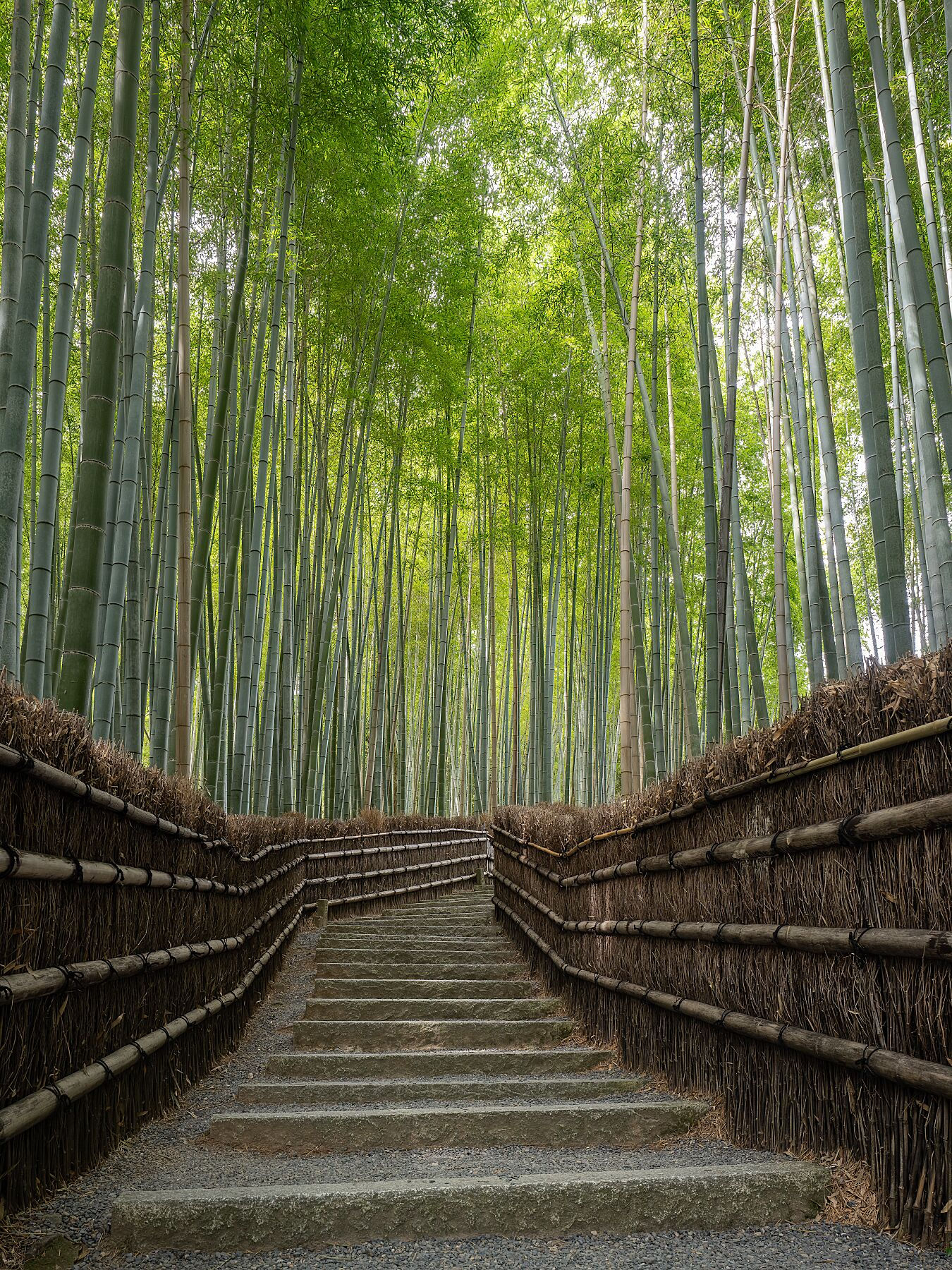 Japan - Kyoto - Arashiyama Bamboo Forest steps (A3 Framed)