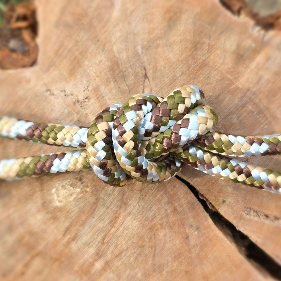 Miniaturbild: Mobility Seil