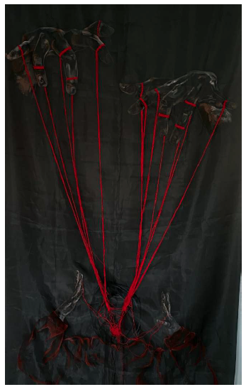 Zainab AlHosani "A Hidden Anger"