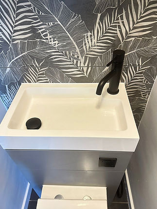 Integrated toilet and sink