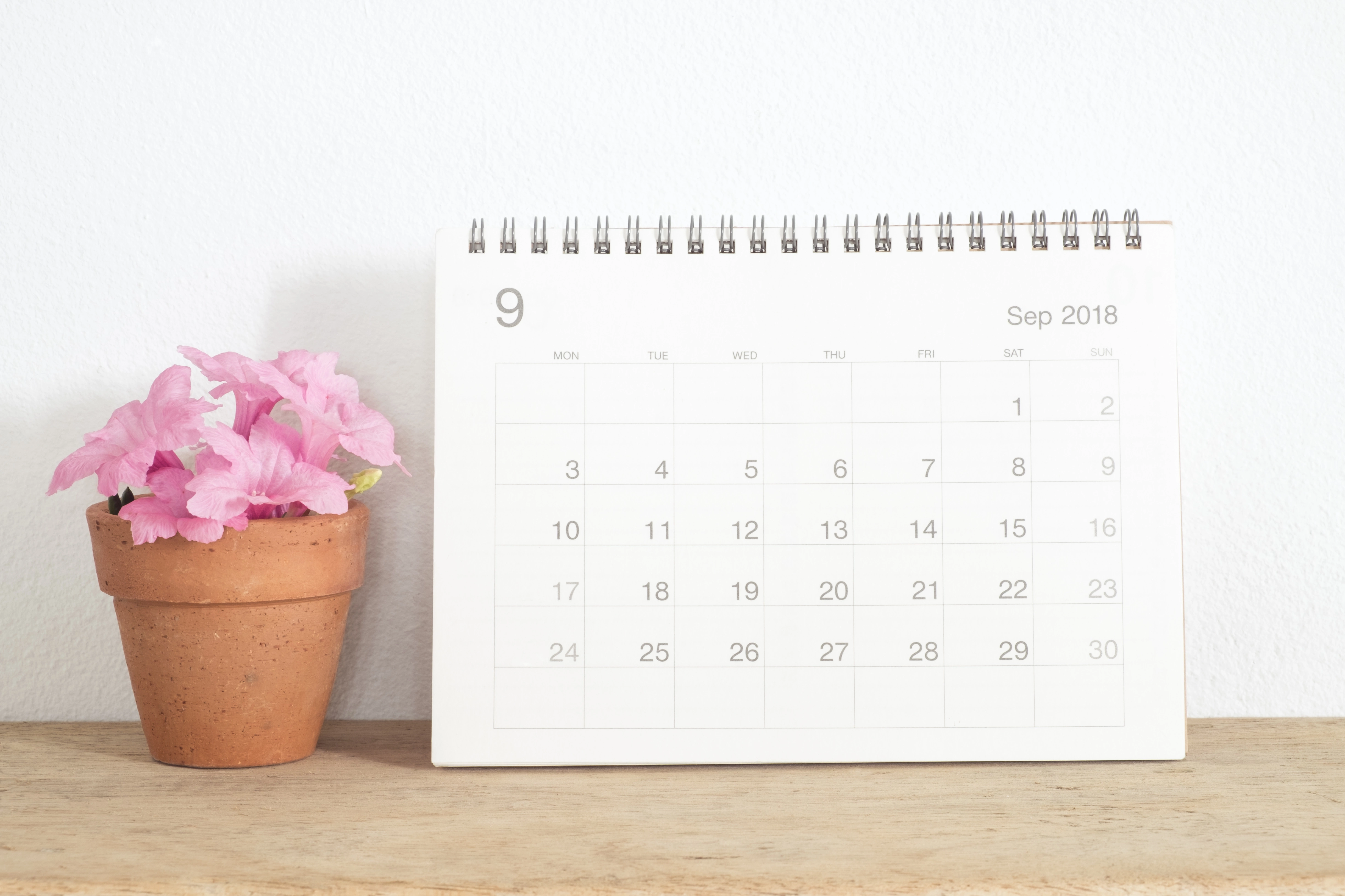 A calendar