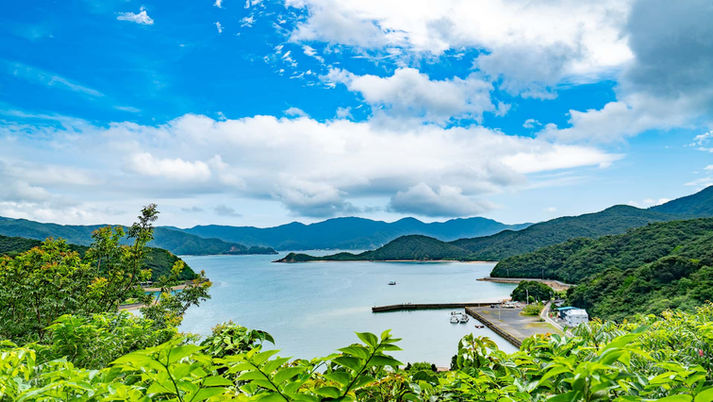 Scenic bay view during Amami Oshima e-bike tour