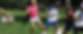 IMG_8910-669x272.jpg
