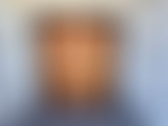 Read our recent write up in the local paper Dee Why News