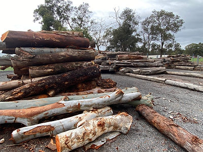 logs of wood