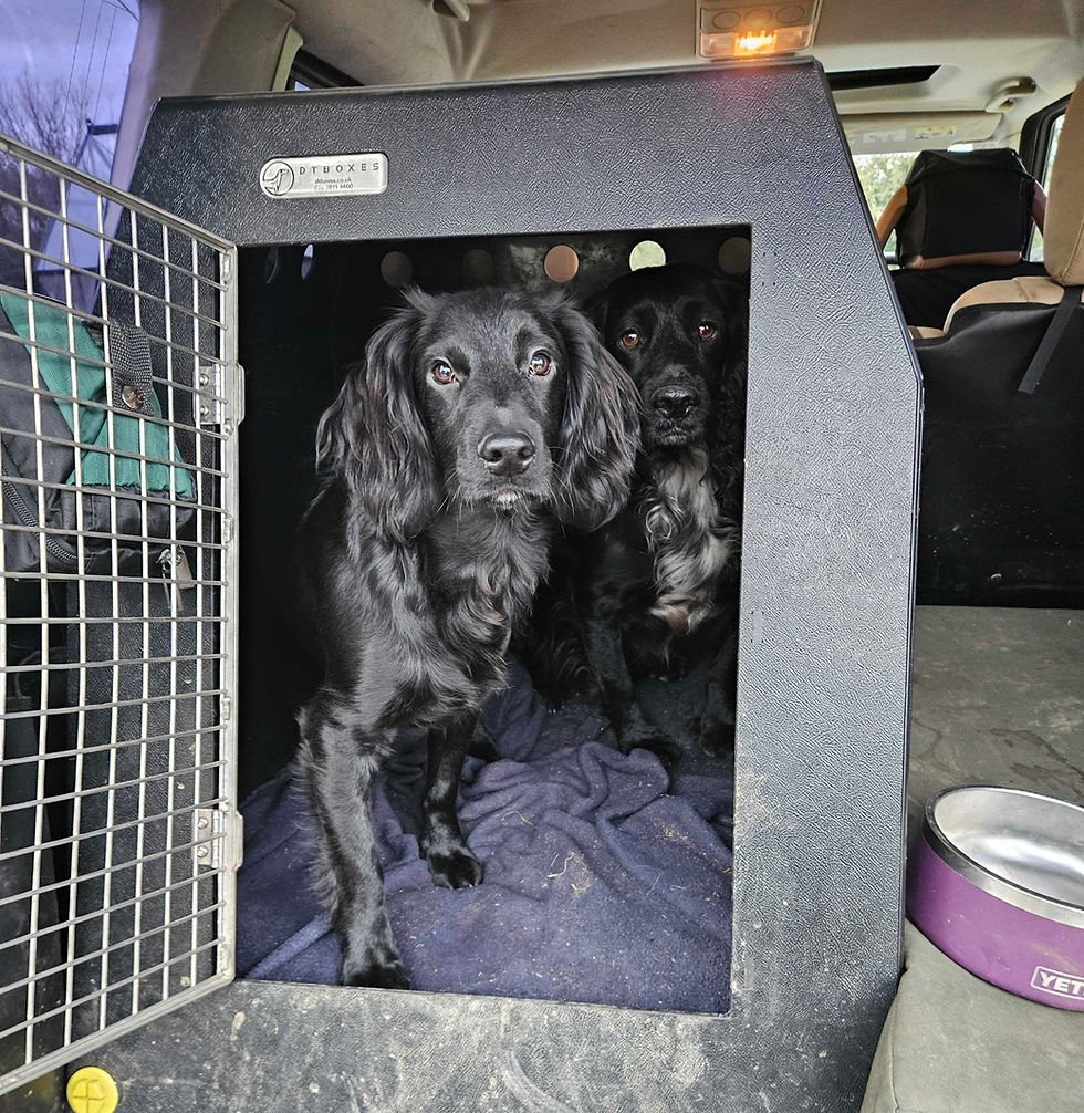 Keep positive training associations with crates and dog boxes.