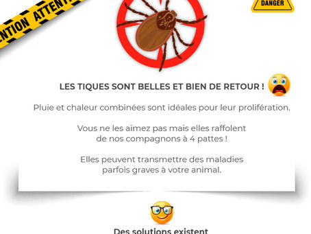 Attention aux tiques !