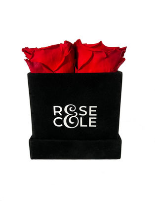 Black cube rose box with red preserved roses by Rose&Cole