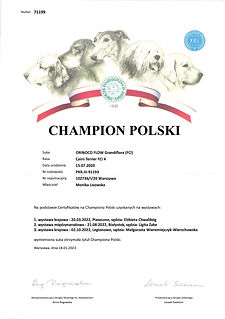 PKR_III-91193-CHPL.jpg